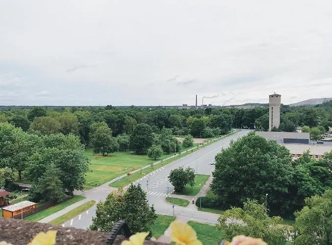 Apartament Kotkapesa *